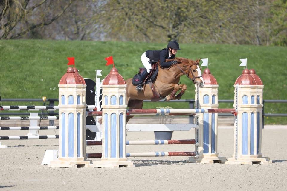 Merrie Franse rijpony PFS Te koop 2019 Vos