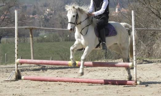 Ruin Ras onbekend Te koop 2006 Schimmel