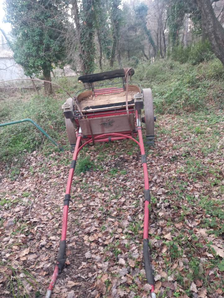 Rijtuigen - Cal&egrave;che   