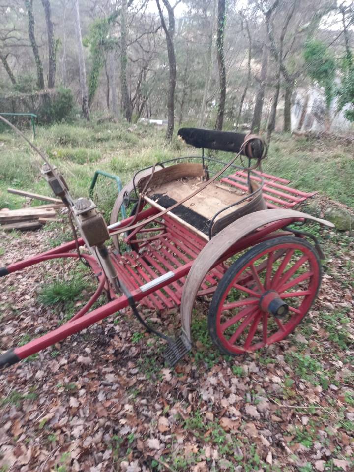 Rijtuigen - Cal&egrave;che   