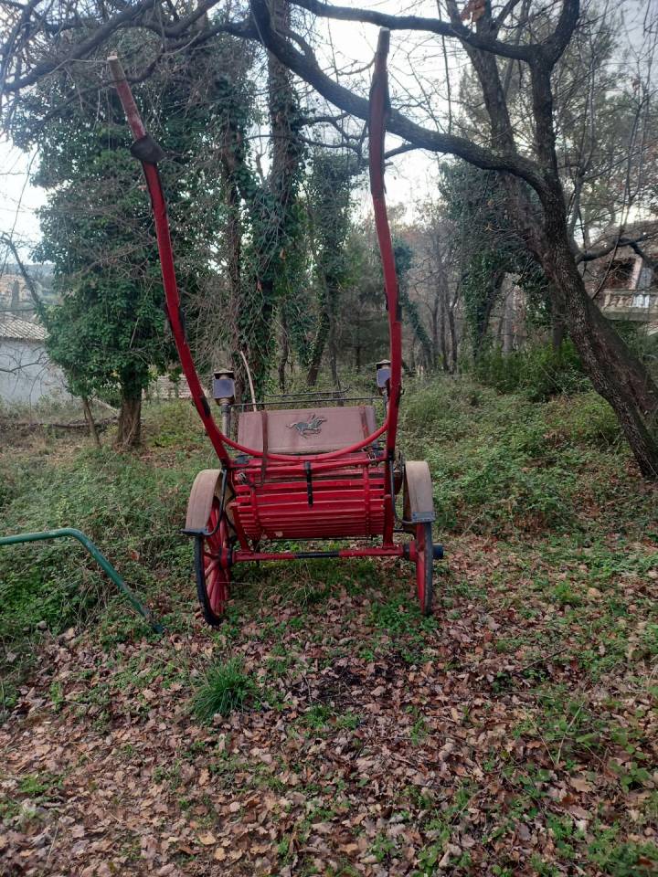 Rijtuigen - Cal&egrave;che   