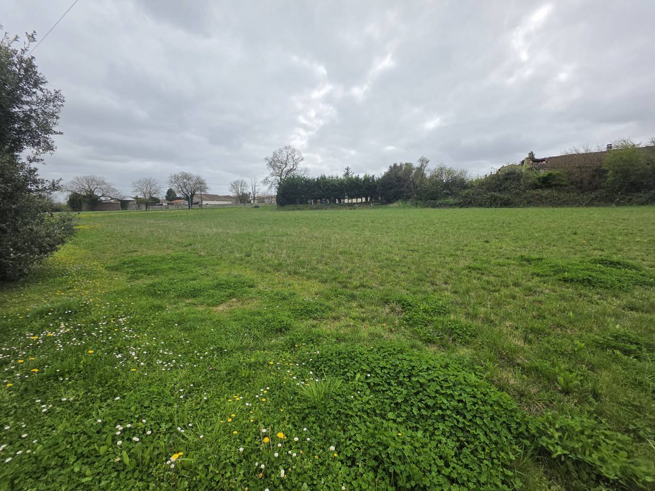 Hippisch vastgoed Koop Charente-Maritime