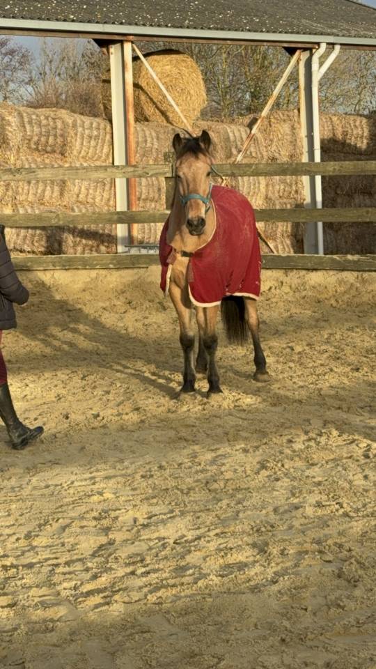 Ruin Ras onbekend Te koop 2006 Isabel