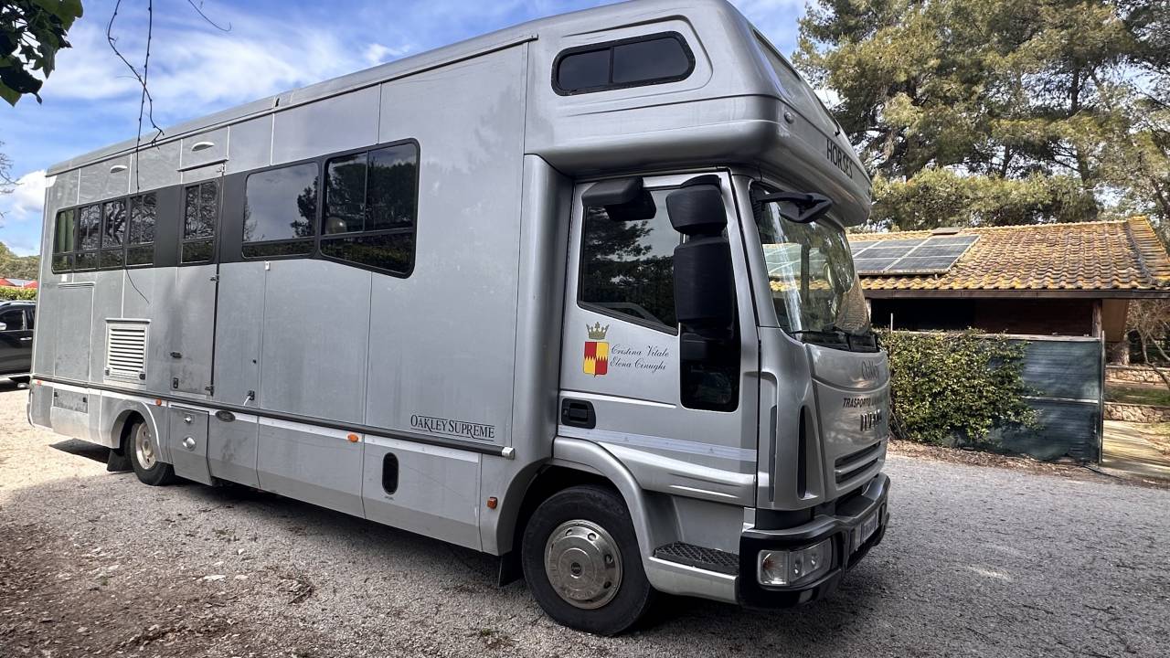 Kleine paardenvrachtwagen (B rijbewijs) Oakley IVECO  2005 Tweedehands