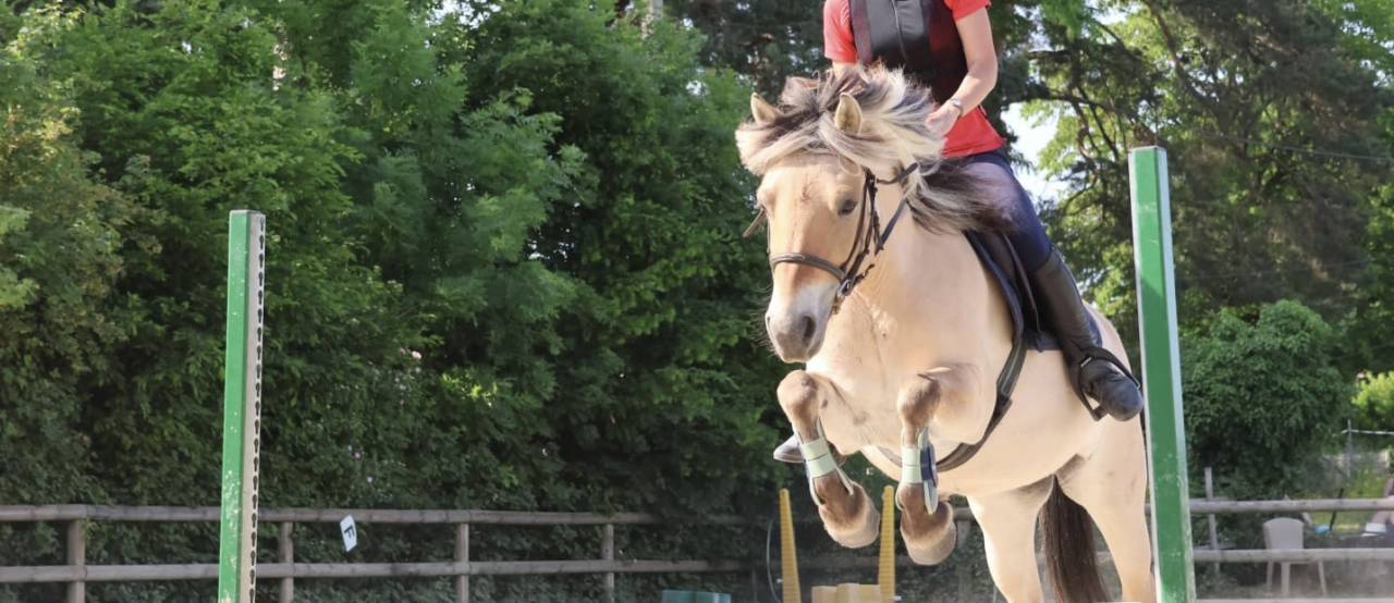 Merrie Fjord Half pension 2012 Isabel