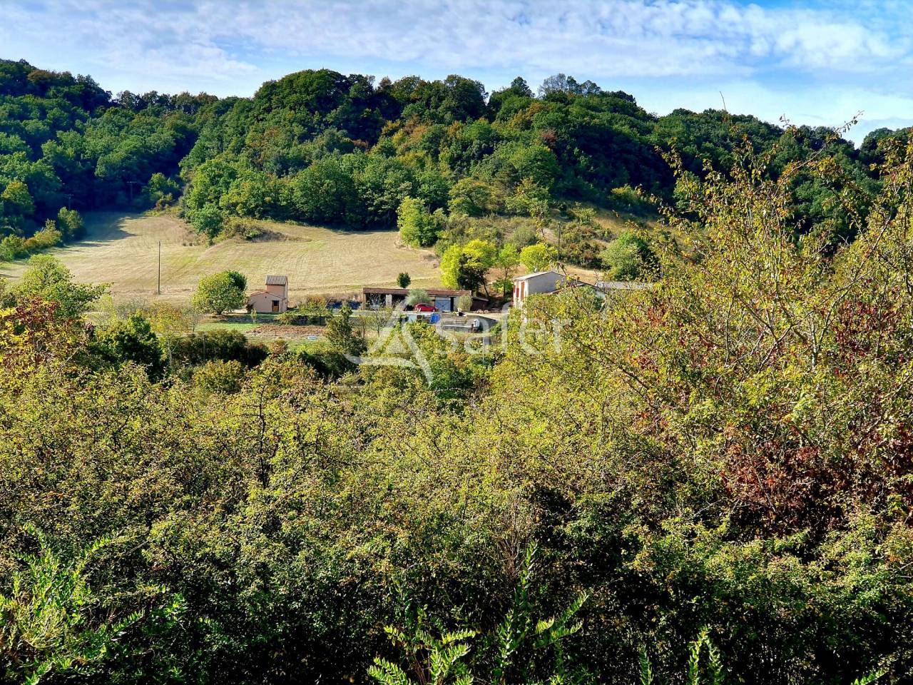 Ander plattelands vastgoed Koop Ari&egrave;ge