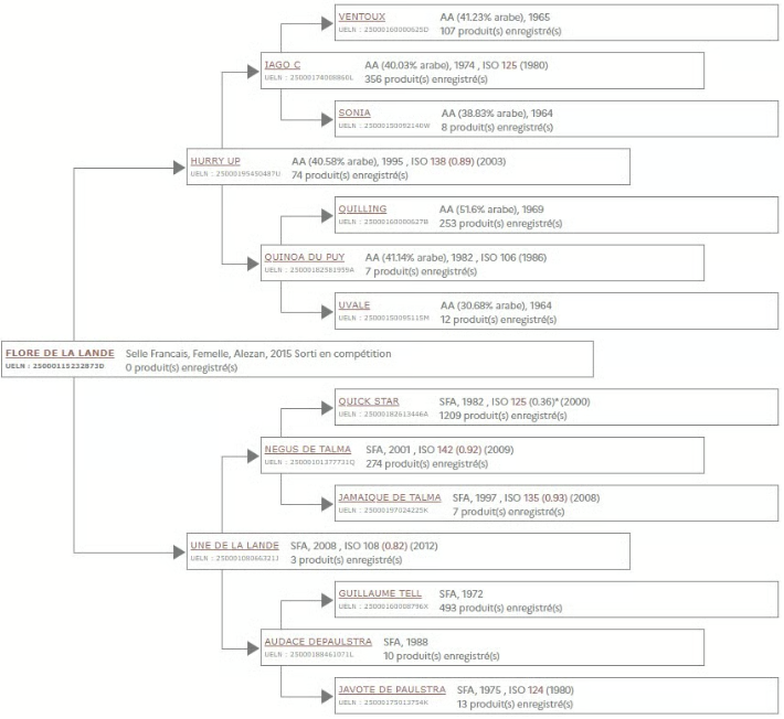 Merrie Selle Fran&ccedil;ais Te koop 2016 Vos
