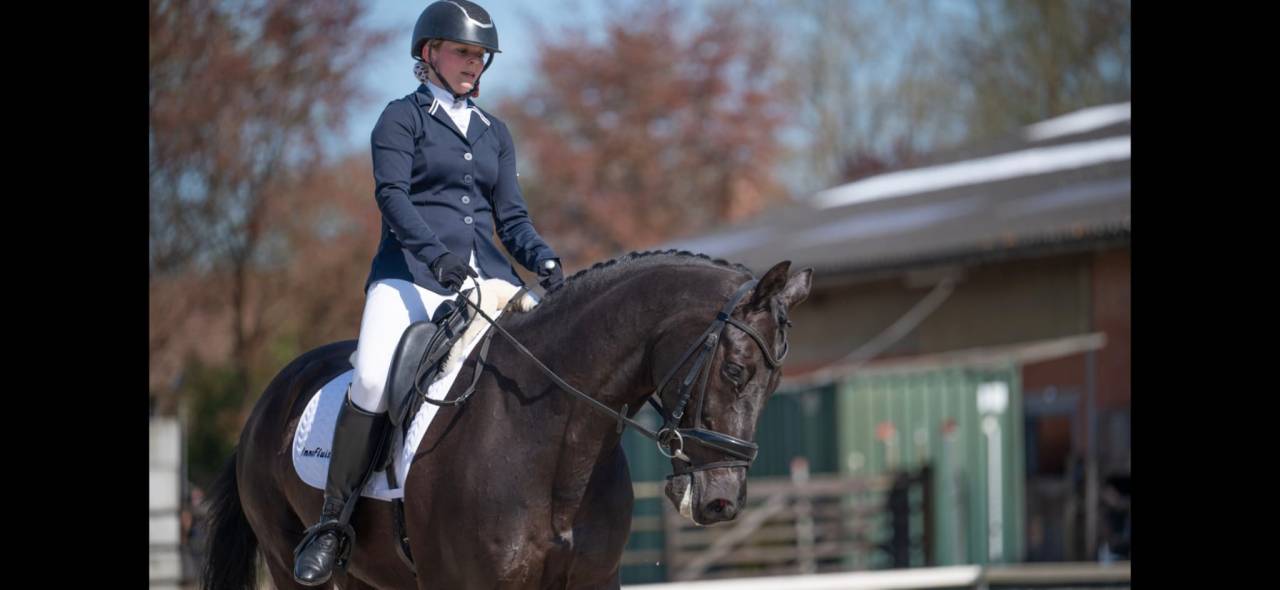 Brave dressuurruin van All at Once met wedstrijdervarin