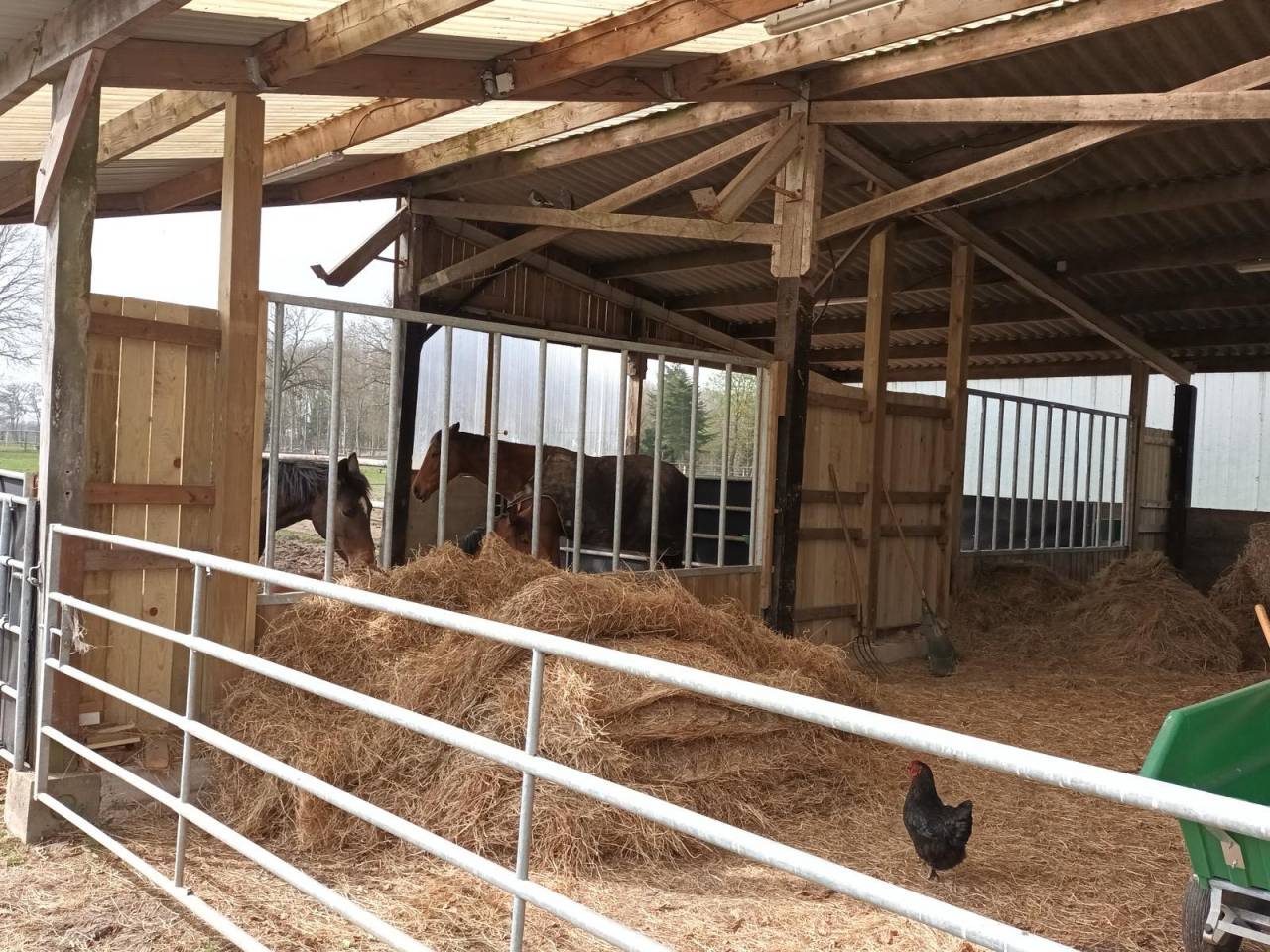Hippisch vastgoed Koop Loire-Atlantique