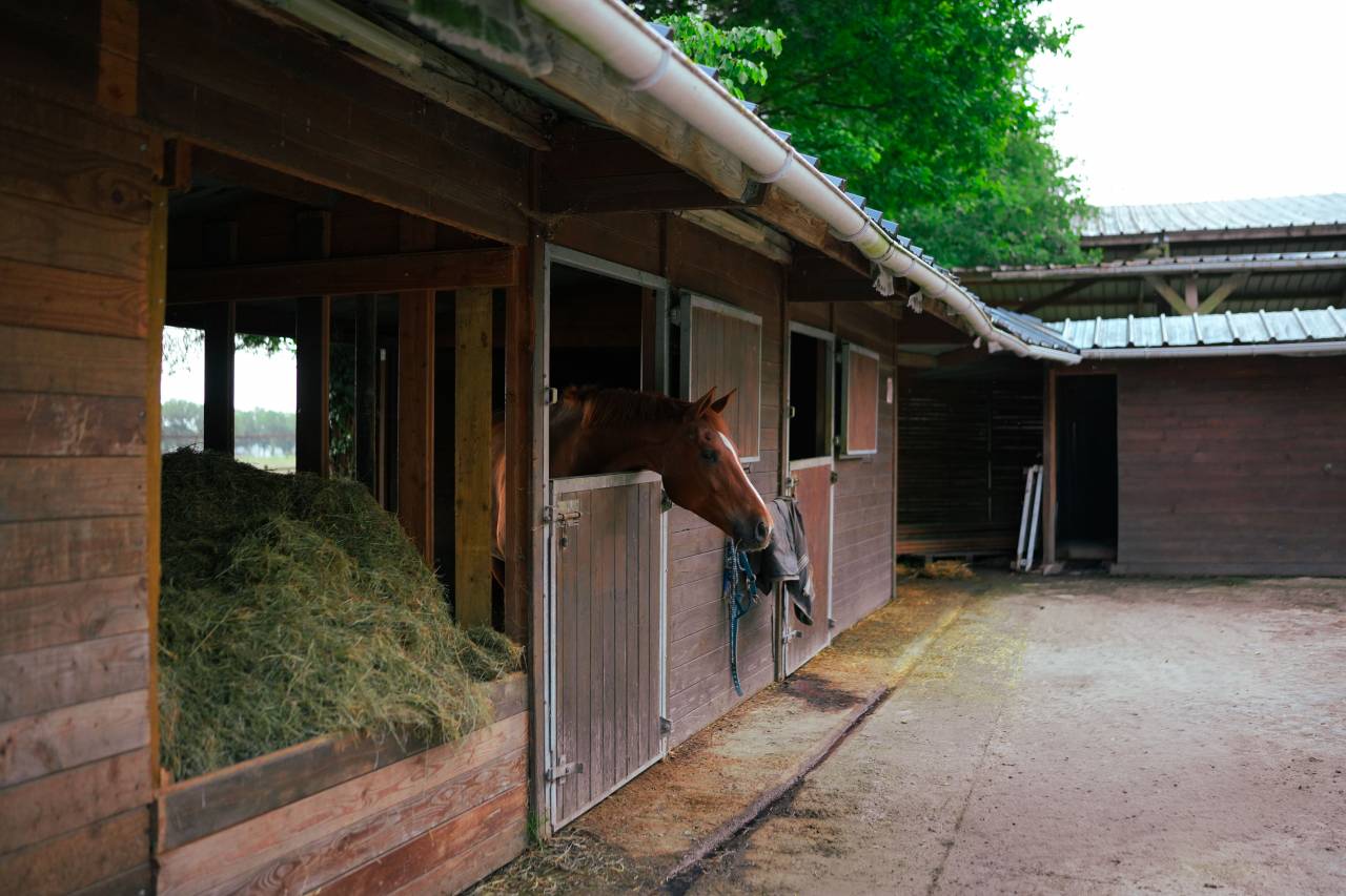 Hippisch vastgoed Koop Loire-Atlantique