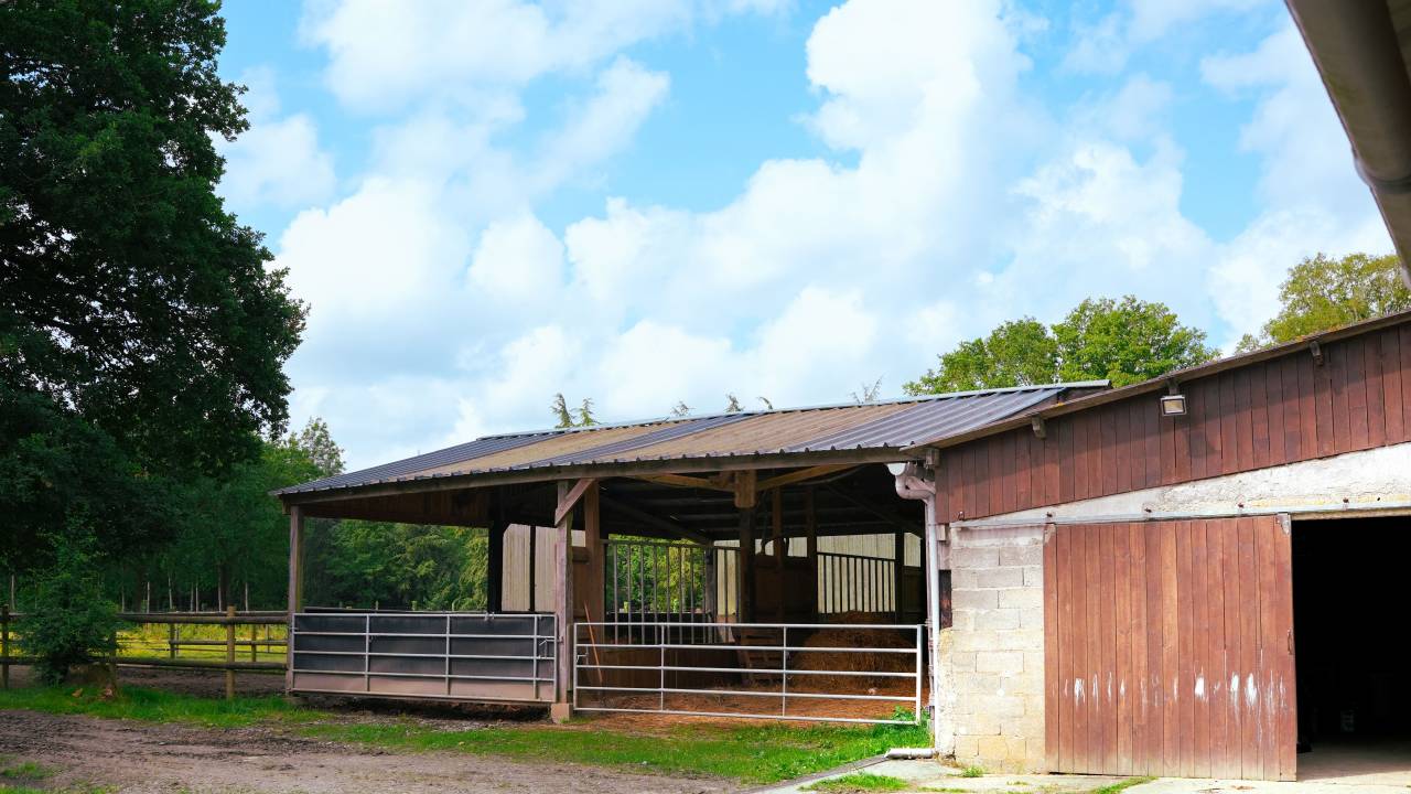 Hippisch vastgoed Koop Loire-Atlantique