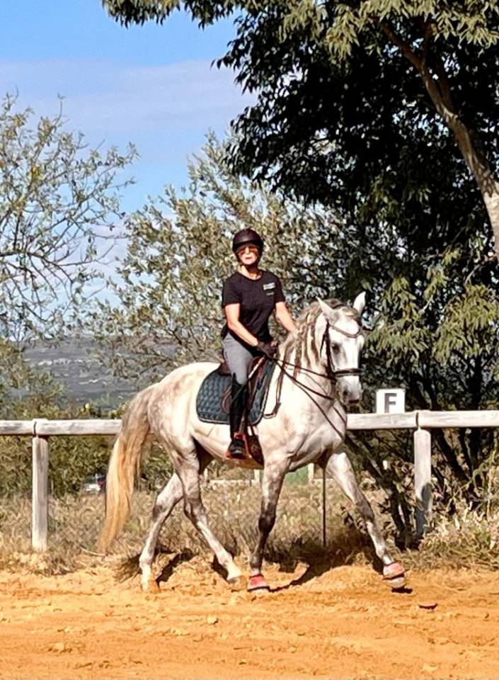 Ruin Lusitano Te koop 2015 Wit ,  CANTOR JME PT