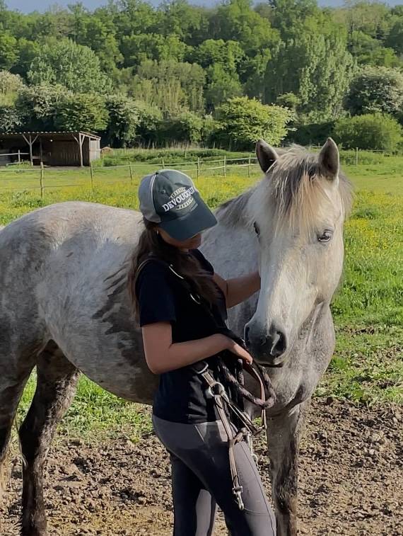 Merrie Franse rijpony PFS Te koop 2018 Schimmel