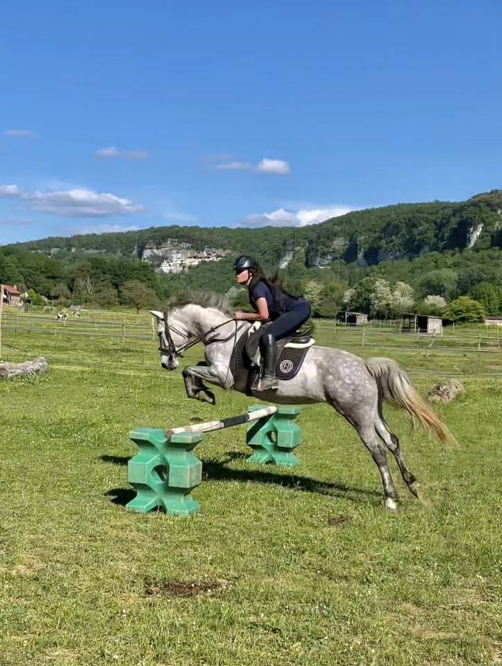 Merrie Franse rijpony PFS Te koop 2018 Schimmel