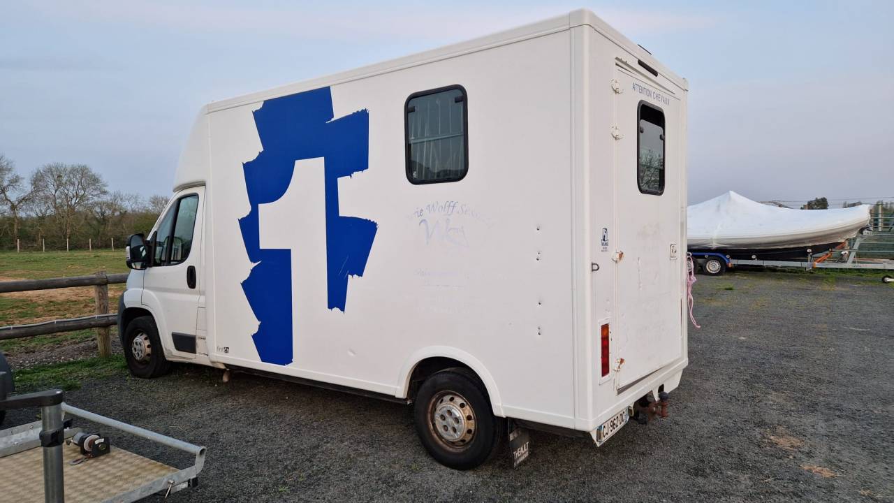Kleine paardenvrachtwagen (B rijbewijs) Peugeot Boxer  2012 Tweedehands