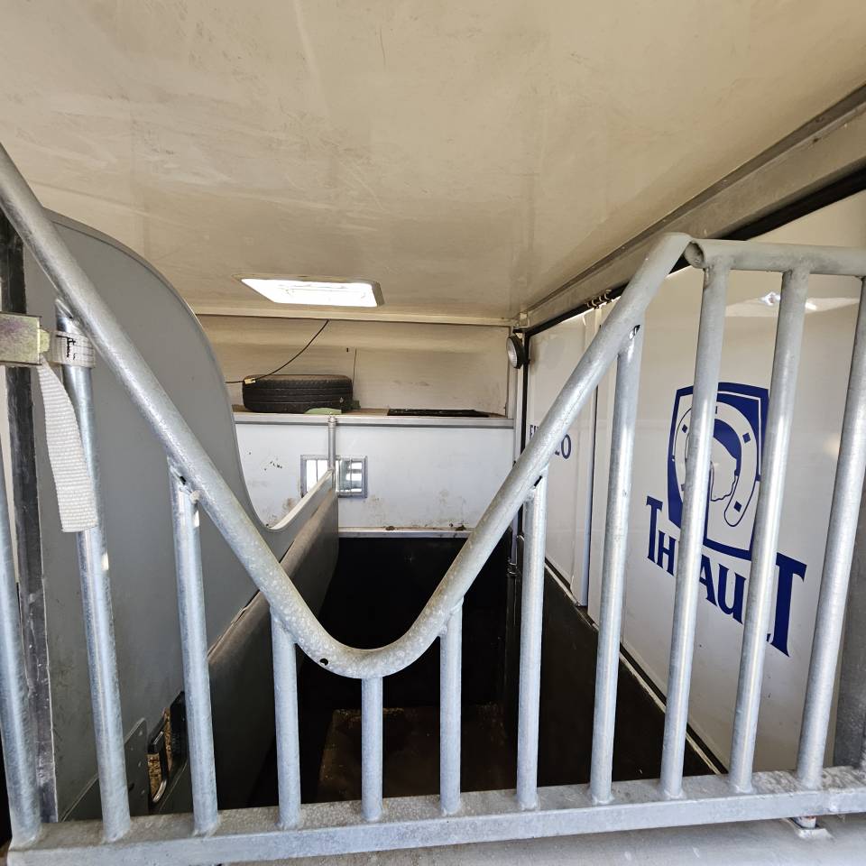 Kleine paardenvrachtwagen (B rijbewijs) Peugeot Boxer  2012 Tweedehands