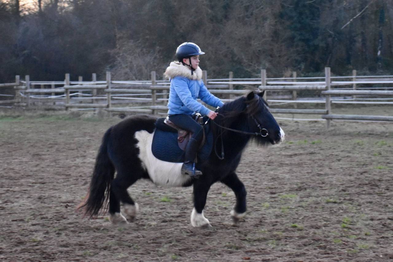 Ruin Shetland Te koop 2022 Bont ,  Igloo dela Merletiere