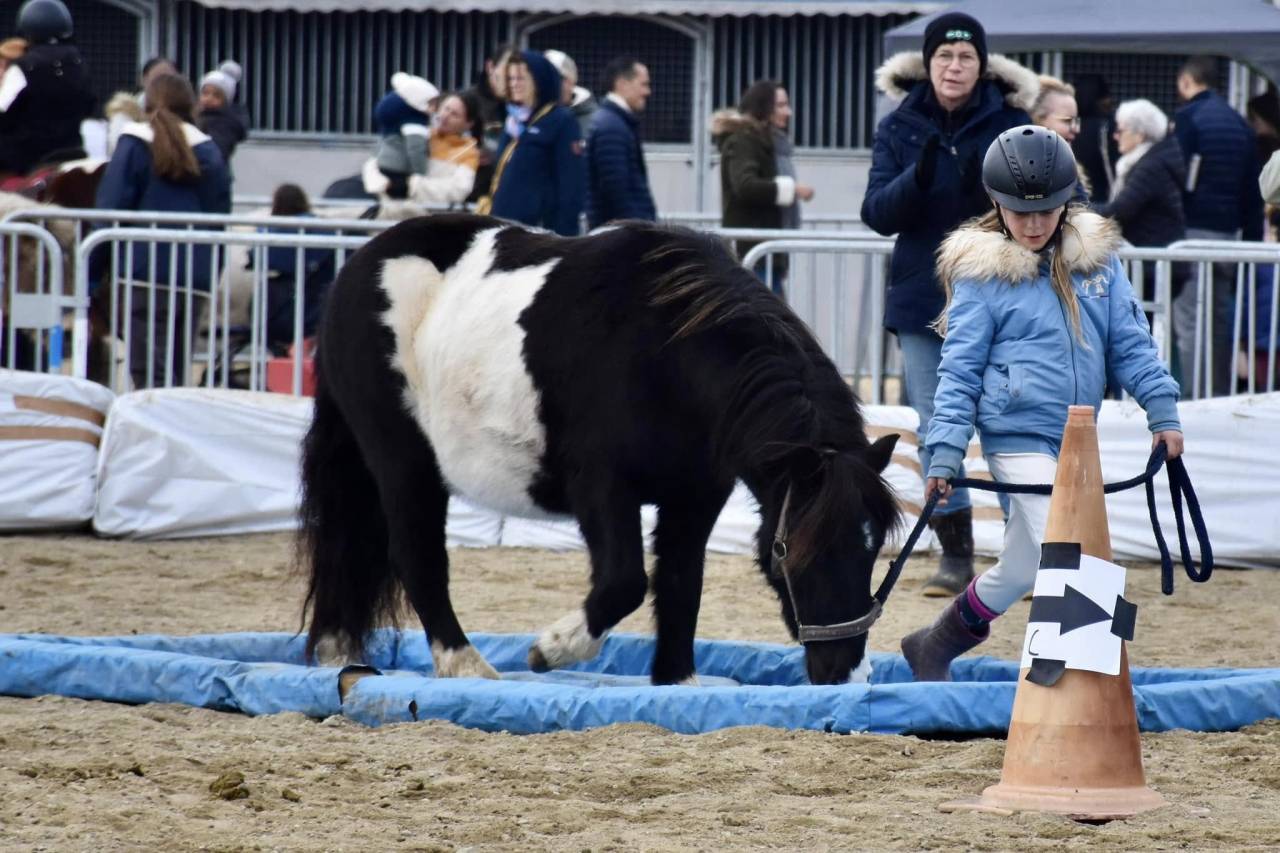 Ruin Shetland Te koop 2022 Bont ,  Igloo dela Merletiere