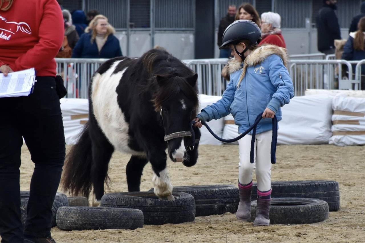 Ruin Shetland Te koop 2022 Bont ,  Igloo dela Merletiere