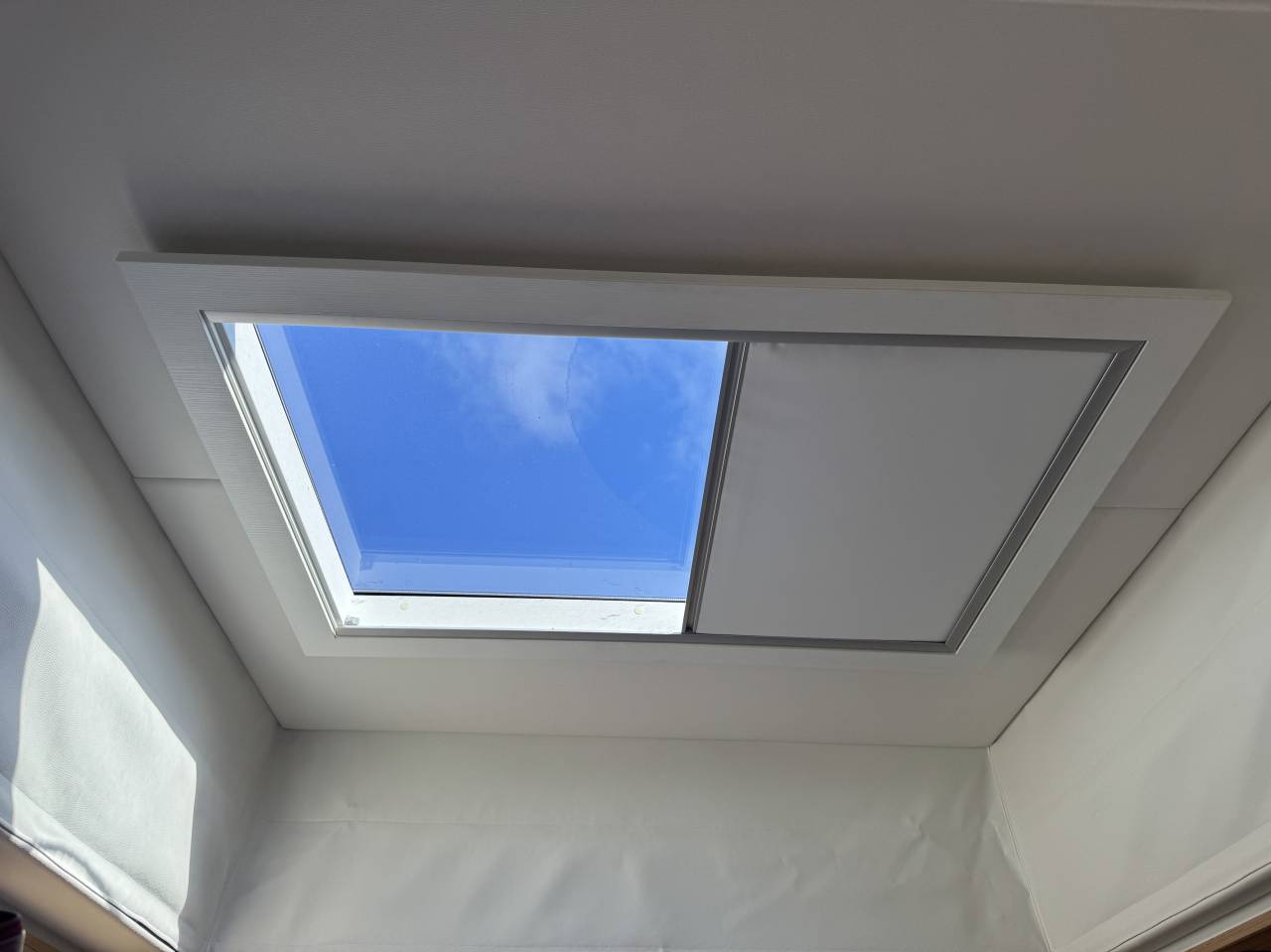 Zware paardenvrachtwagen (groot rijbewijs) STX  2016 Tweedehands