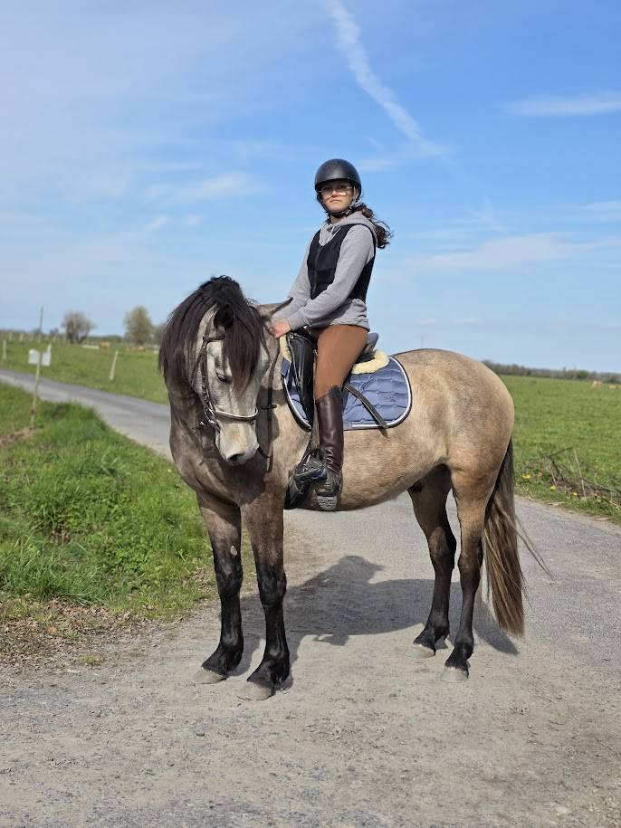 Ruin PRE Puur Ras Spaans Te koop 2022 Isabel