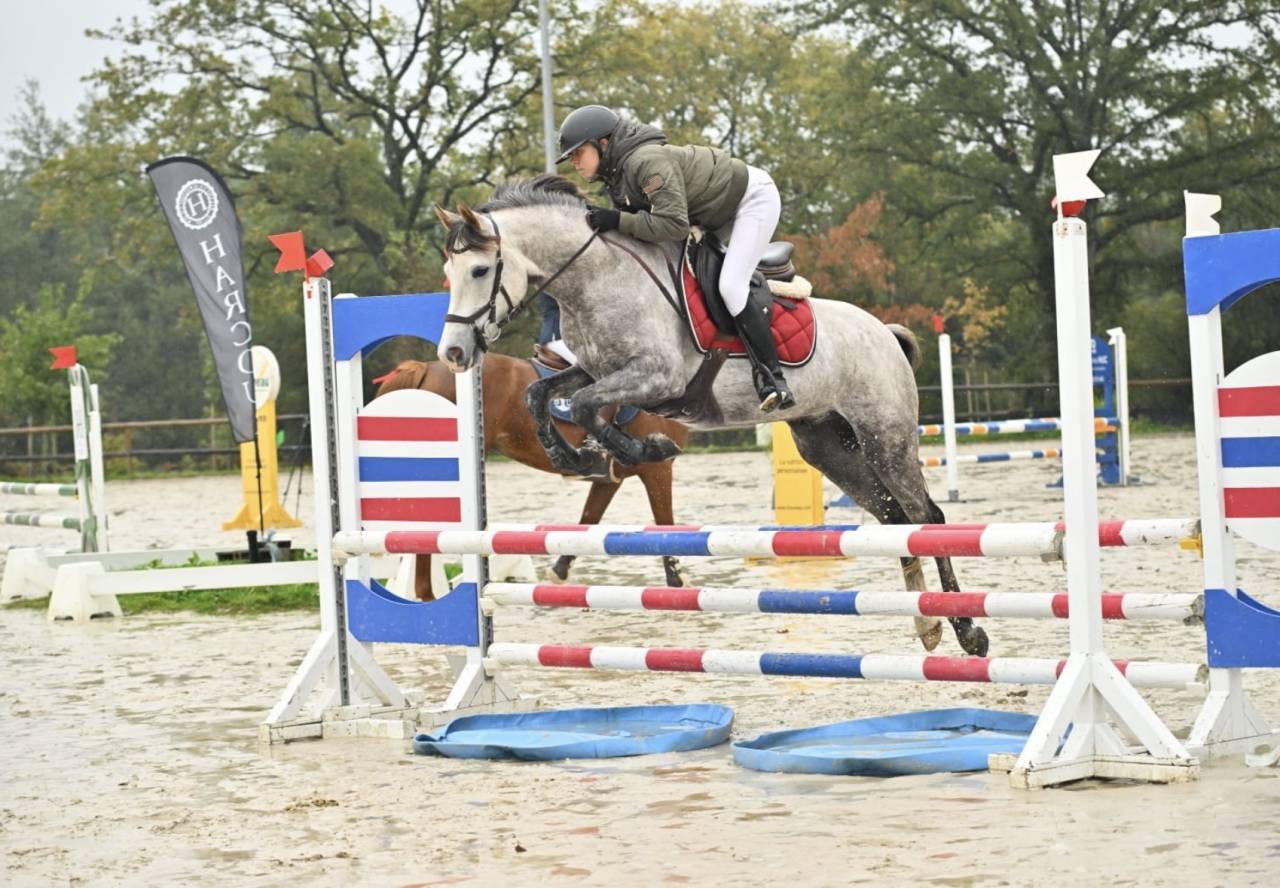 Ruin Franse rijpony PFS Te koop 2021 Schimmel