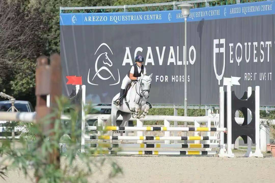 Merrie Connemara Te koop 2011 Schimmel