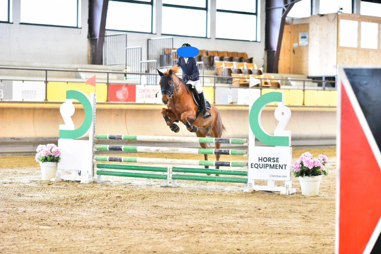 Ruin Connemara Te koop 2012 Vos ,  CORAL MISTY'S COMIC