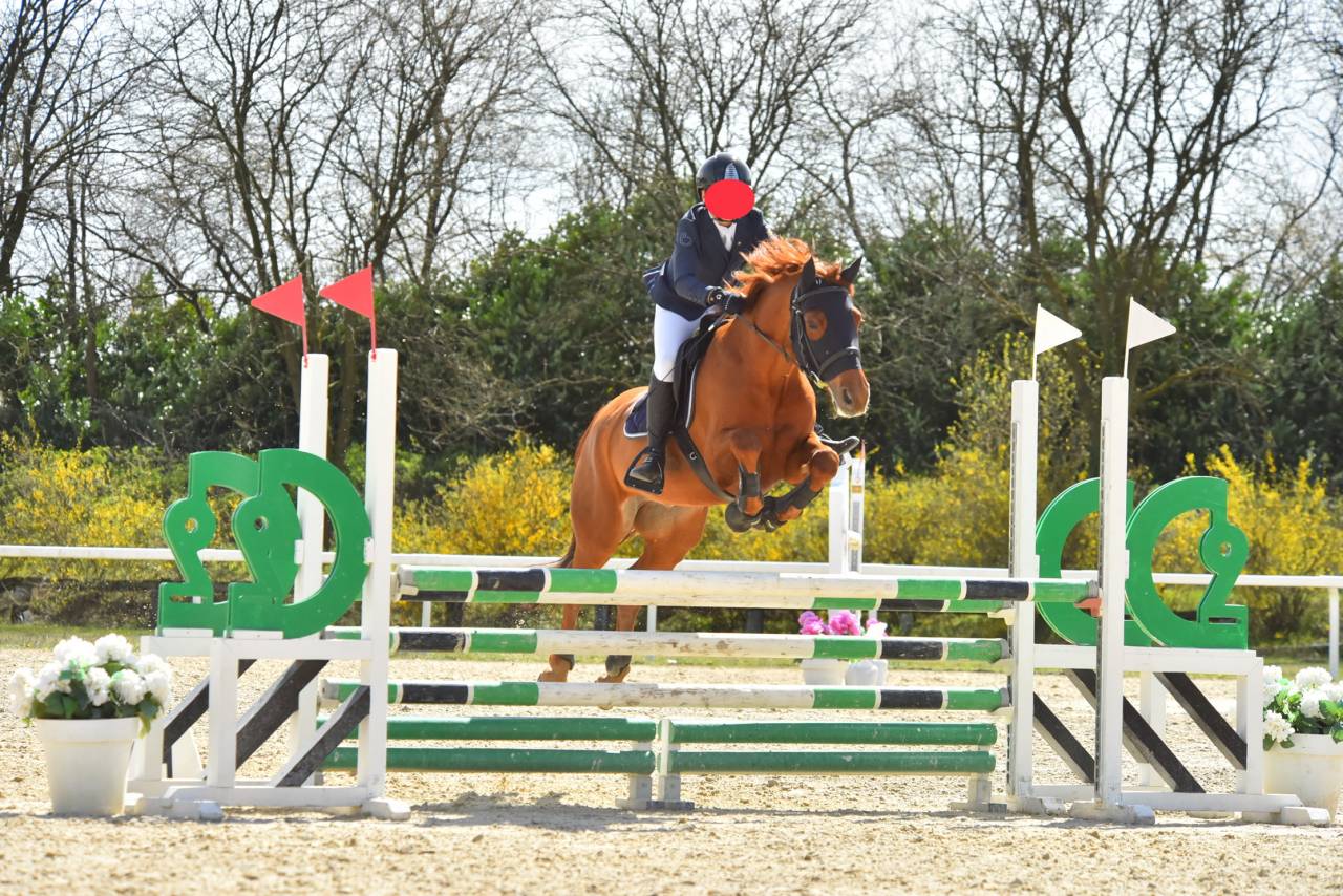 Ruin Connemara Te koop 2012 Vos ,  CORAL MISTY'S COMIC