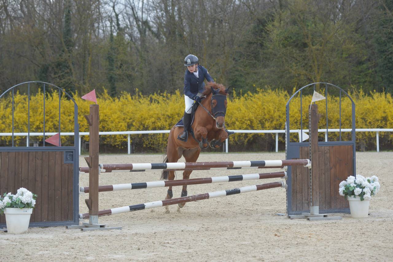 Ruin Connemara Te koop 2012 Vos ,  CORAL MISTY'S COMIC