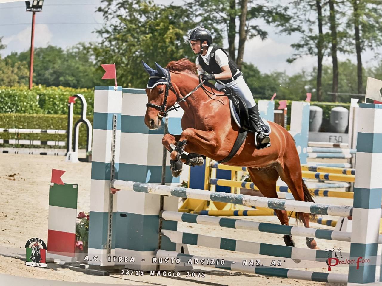 Ruin Connemara Te koop 2012 Vos ,  CORAL MISTY'S COMIC