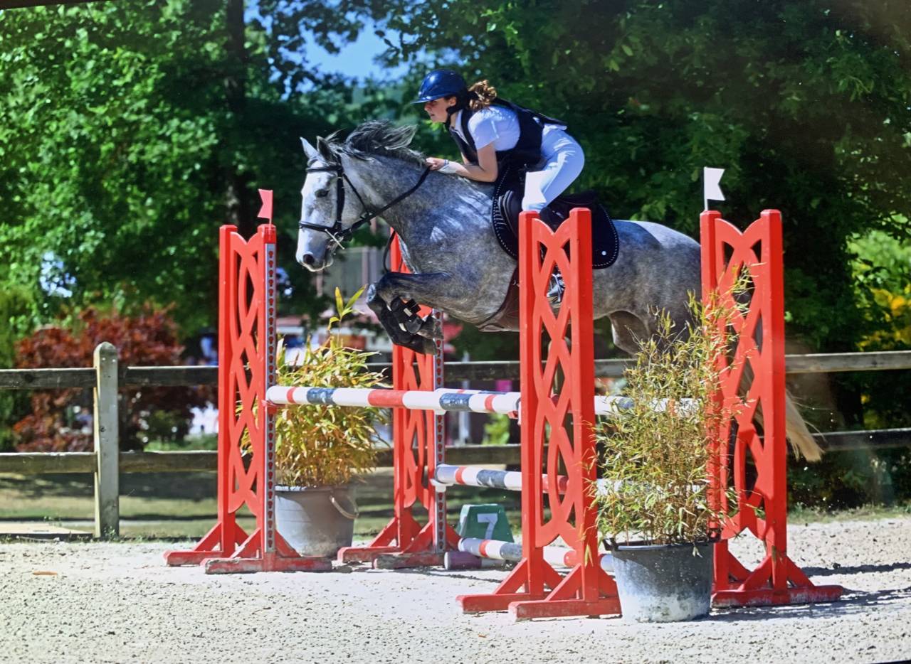 Merrie Connemara Te koop 2020 Schimmel ,  E Cinn