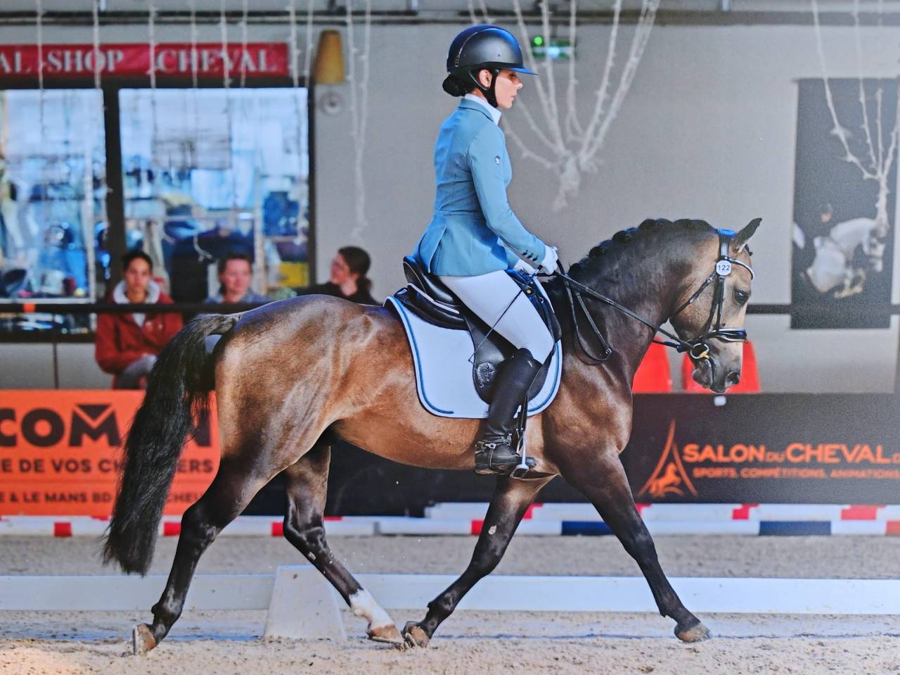 Hengst Franse rijpony PFS Te koop 2022 Isabel