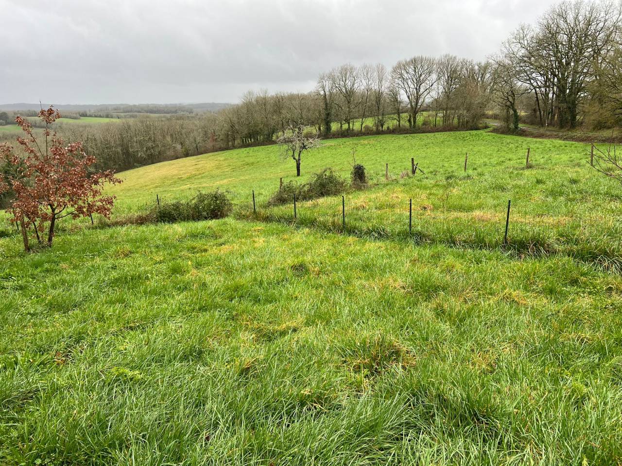 Mooi hippisch vastgoed Koop Dordogne