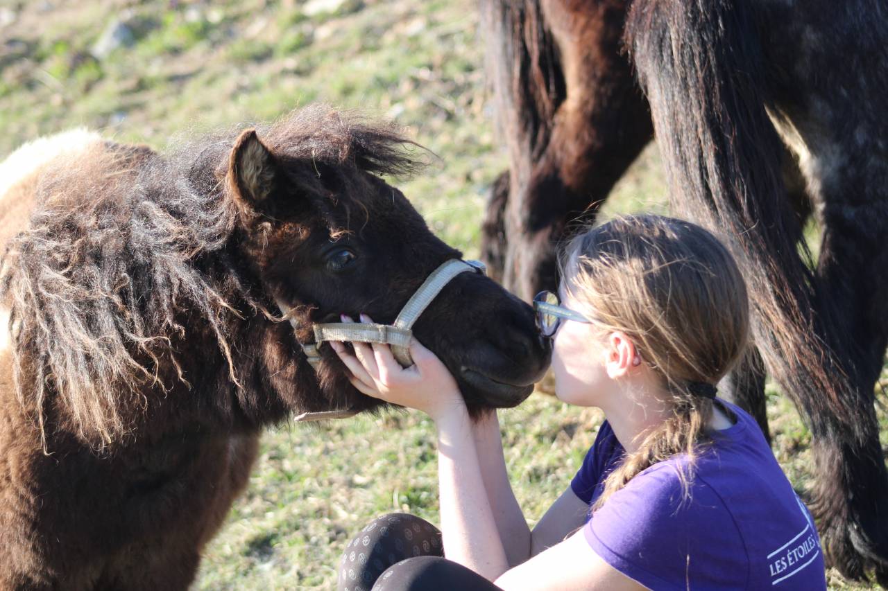 Veulen (ml) Shetland Te koop 2025 Bont ,  Iss&eacute; des Cros