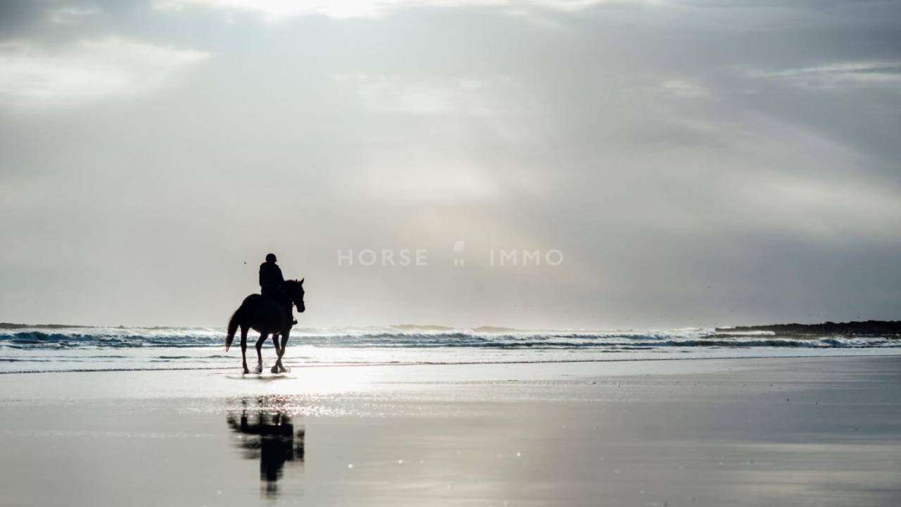 Hippisch vastgoed Koop Bouches-du-Rh&ocirc;ne