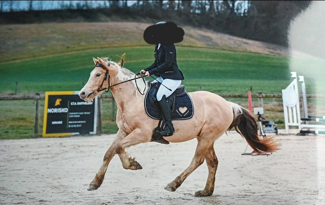 Ruin Ras onbekend Te koop 2022 Bont