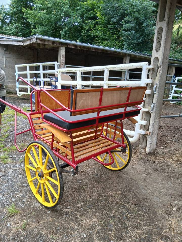 Rijtuigen - Cal&egrave;che   