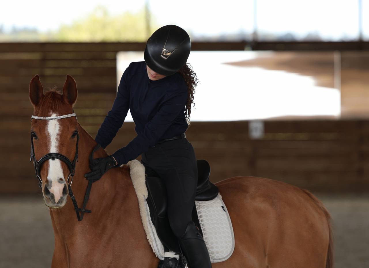 Ruin Nederlandse pony Te koop 2017 Vos ,  Cosmopolitain D