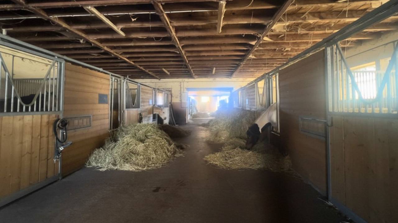 Hippisch vastgoed Koop Aveyron