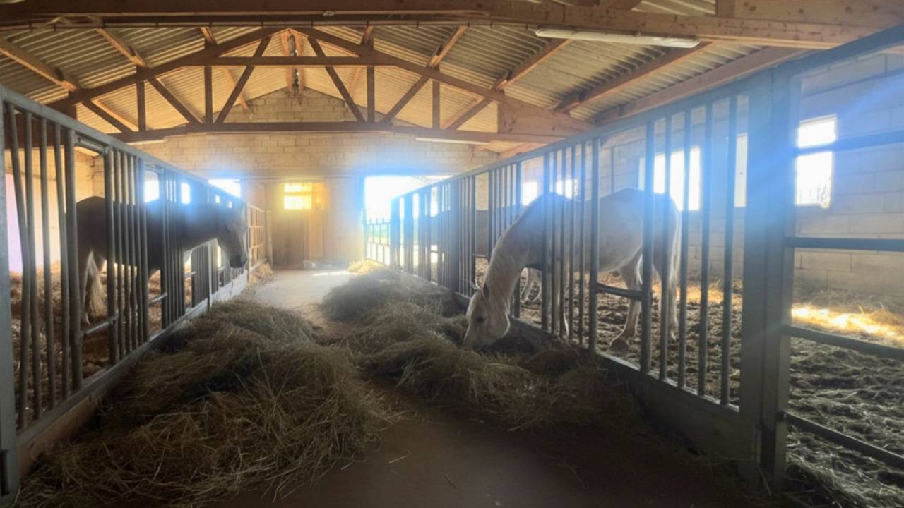 Hippisch vastgoed Koop Aveyron