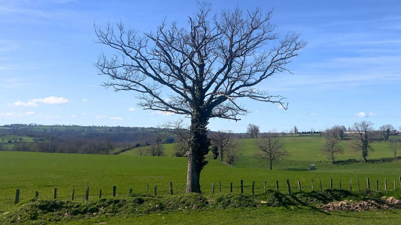 Hippisch vastgoed Koop Aveyron