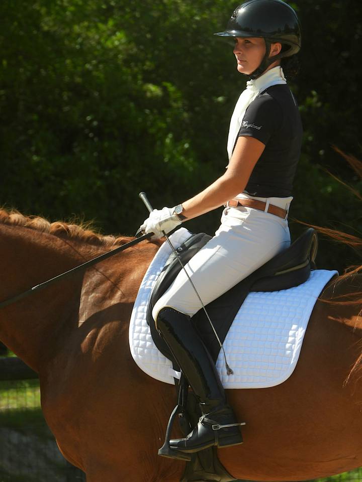 Merrie Selle Fran&ccedil;ais Te koop 2020 Vos ,  ARGENTINUS