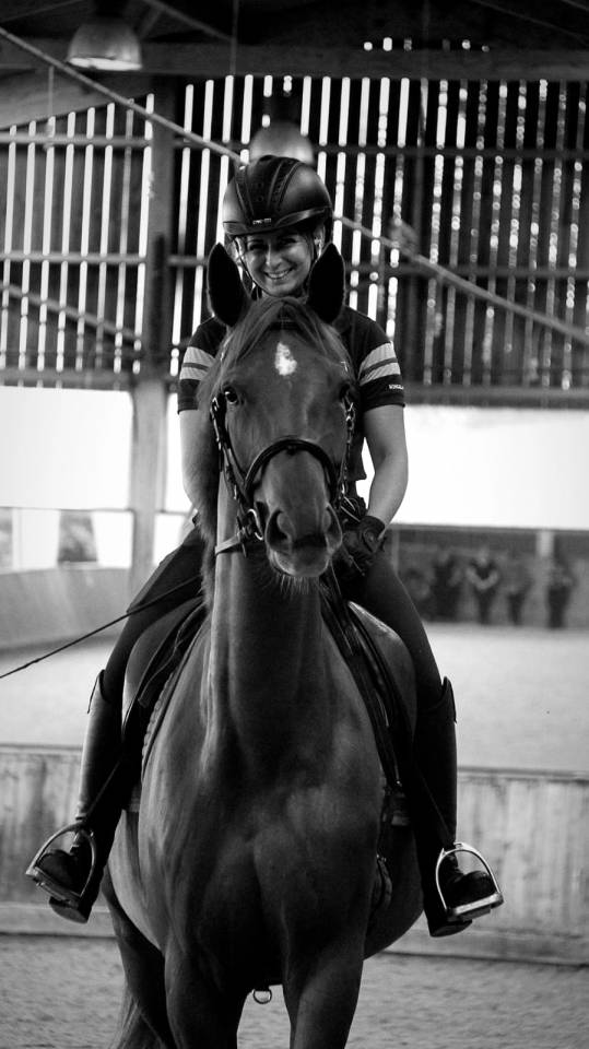 Merrie Selle Fran&ccedil;ais Te koop 2020 Vos ,  ARGENTINUS