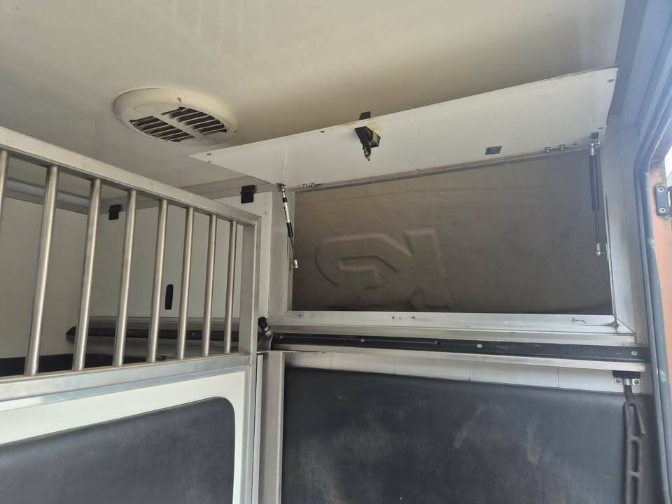 Kleine paardenvrachtwagen (B rijbewijs) Krismar stalles 2017 Tweedehands