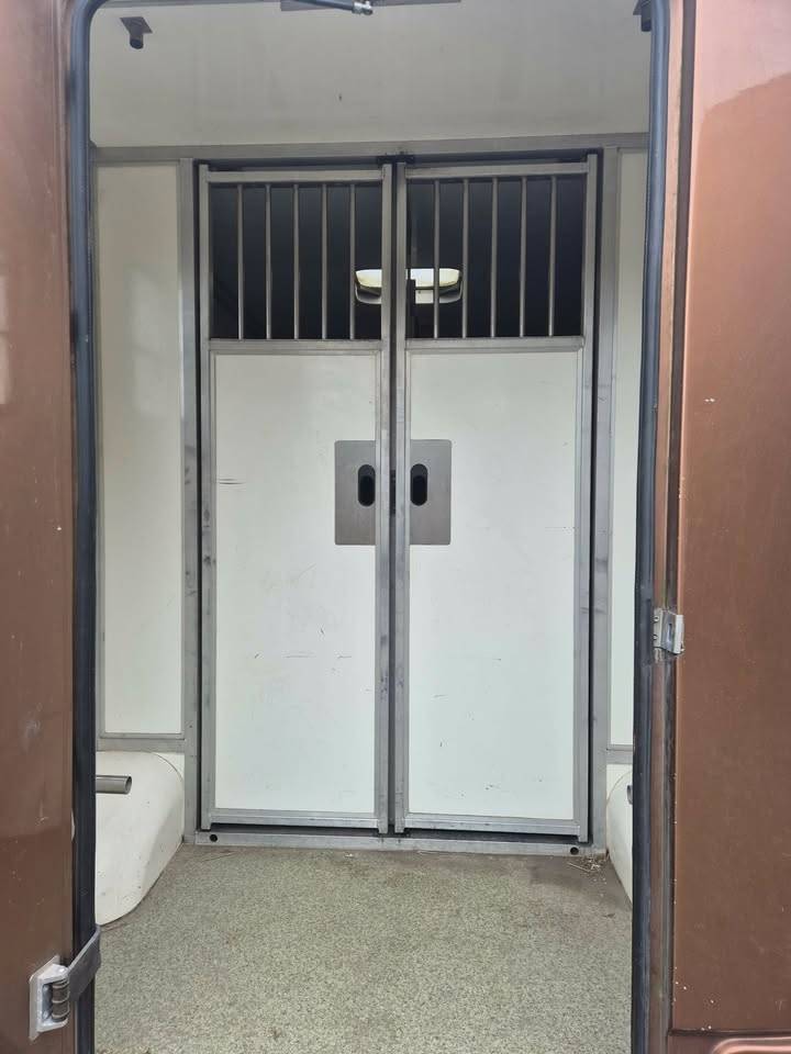 Kleine paardenvrachtwagen (B rijbewijs) Krismar stalles 2017 Tweedehands