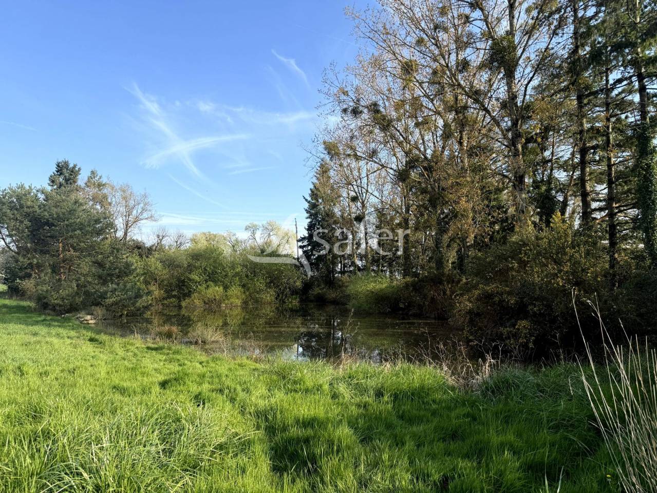 Hippisch vastgoed Koop Indre-et-Loire