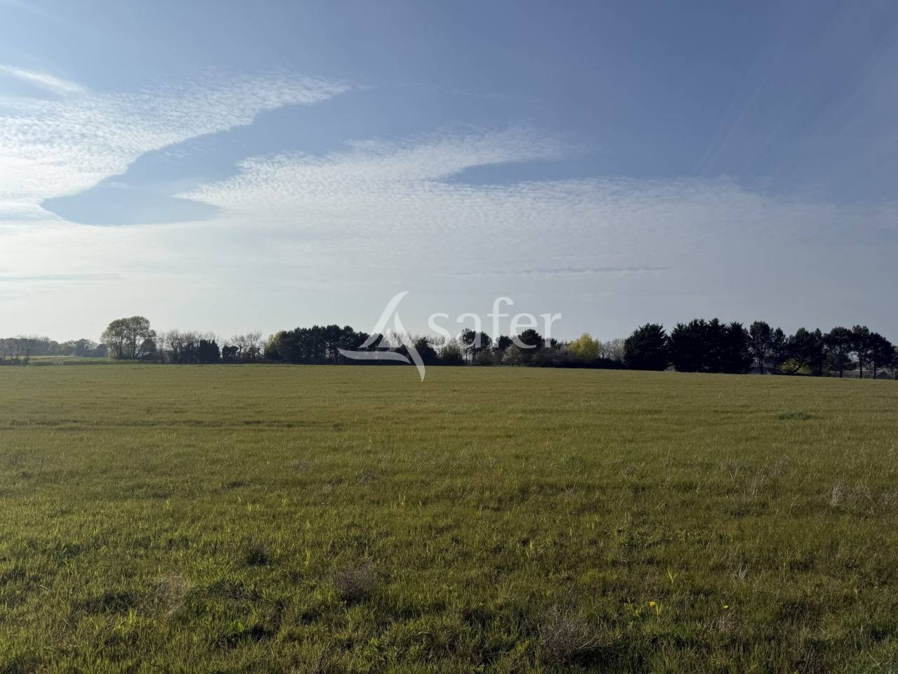 Hippisch vastgoed Koop Indre-et-Loire