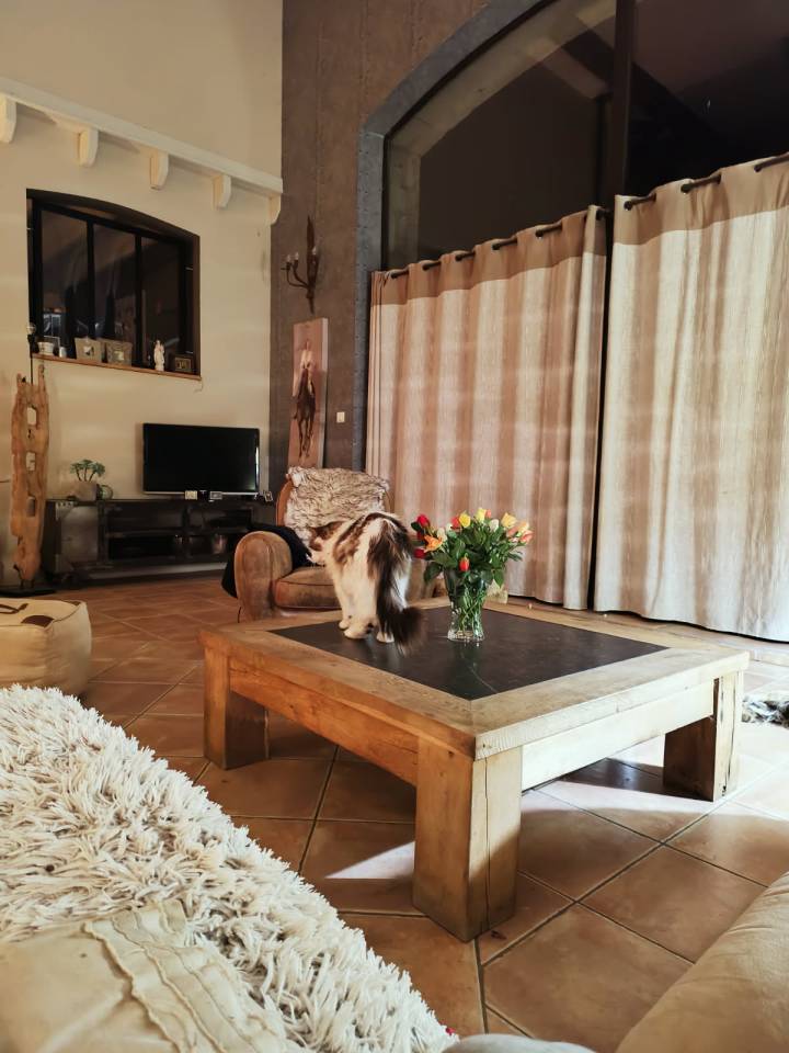 Mooi hippisch vastgoed Koop Deux-S&egrave;vres