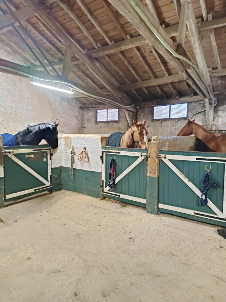 Mooi hippisch vastgoed Koop Deux-S&egrave;vres